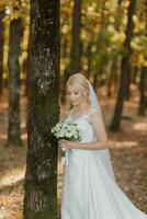 il sposa è a piedi contro il sfondo di un' fiaba nebbia nel il foresta. il raggi di il sole rompere attraverso il Fumo, un' fiaba nozze foto