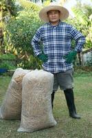 asiatico uomo giardiniere sta accanto Due borse di riso cannuccia fieno, preparato per fabbricazione concime nel giardino. concetto, utilizzando agricolo rifiuto materiale quello può decomporsi per rendere concime o copertina suolo terra. foto