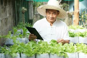 asiatico uomo giardiniere è controllo e ispezionando qualità, crescita e pianta malattie di biologico insalata verdure di utilizzando inteligente tavoletta. concetto, agricoltura ricerca. imparare a partire dal Internet per sviluppare colture foto