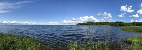 panorama di il lago, bellissimo estate paesaggio, verde costa, blu cielo, blu acqua, bianca nuvole, soleggiato giorno foto