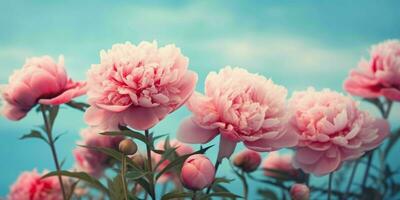 ai generato vicino su di rosa peonie fiori con blu cielo Visualizza. generativo ai foto