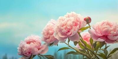 ai generato vicino su di rosa peonie fiori con blu cielo Visualizza. generativo ai foto