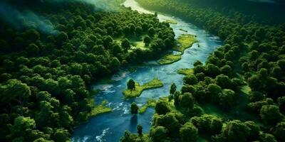 ai generato aereo Visualizza di verde foresta e fiume. generativo ai foto