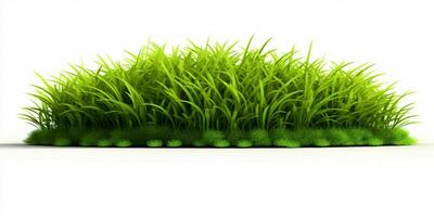 ai generato fresco verde erba isolato su bianca sfondo. generativo ai foto