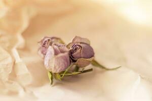 concetto tiro di il sfondo tema, involucro carta, secco Rose altro fiori e altro disposizioni. san valentino giorno foto