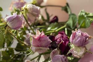 concetto tiro di il sfondo tema, involucro carta, secco Rose altro fiori e altro disposizioni. san valentino giorno foto