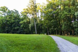 paesaggio tiro di il bellissimo parco. all'aperto foto