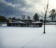 paesaggio tiro di il strada su il inverno giorno. auto coperto nel il neve. stagione foto