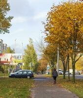 Minsk, bielorussia - 14.10.2023 - tiro di il colorato autunno alberi. natura foto