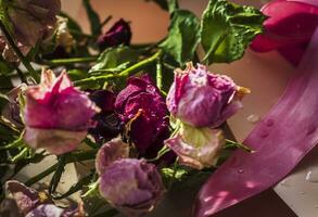 concetto tiro di il sfondo tema, involucro carta, secco Rose altro fiori e altro disposizioni. san valentino giorno foto