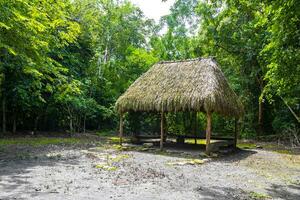 palapa capanna Casa cabina nel tropicale giungla coba rovine Messico. foto