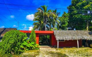 tipico colorato traffico stradale automobili palme di tulum messico. foto