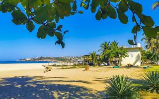 sole spiaggia sabbia surfer onde palme nel puerto escondido Messico. foto