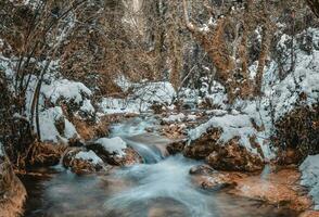 bellissimo paesaggio invernale foto