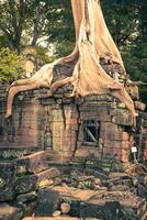 preah khan tempio, Angkor la zona, siem raccogliere, Cambogia foto