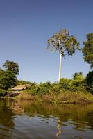 Perù, peruviano Amazonas paesaggio. il foto presente tipico indiano tribù insediamento nel amazon