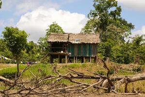 Perù, peruviano Amazonas paesaggio. il foto presente tipico indiano tribù insediamento nel amazon