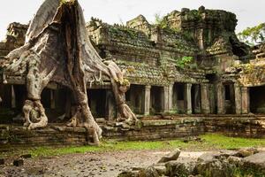 albero radice troppo cresciuto parti di antico preah khan tempio a Angkor wat la zona nel Cambogia foto