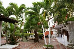 giardino Visualizza con alberi, terrazza nel estate ricorrere Tolù, Colombia foto