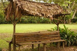 Perù, peruviano Amazonas paesaggio. il foto presente tipico indiano tribù insediamento nel amazon