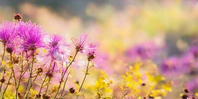 ai generato bellissimo prato con colorato fiori nel il luce del sole. natura sfondo foto