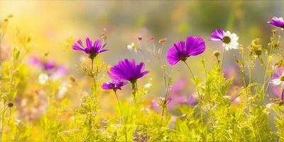 ai generato bellissimo prato con colorato fiori nel il luce del sole. natura sfondo foto