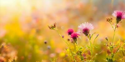 ai generato bellissimo prato con colorato fiori nel il luce del sole. natura sfondo foto