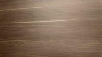 di legno quercia sfondo sfondo vuoto Materiale struttura legname astratto modello legno duro pannello natura scrivania pavimento di legno decorazione ornamento grano struttura fondale albero palma pino superficie livello legname foto