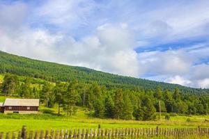 montagne foreste e fattorie in prati verdi paesaggio norvegese norvegia foto