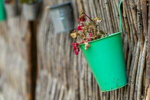 fiore pentola con Esposto alle intemperie fiori come decorazione foto