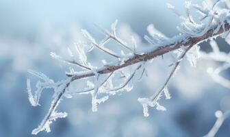 ai generato smerigliato rami su un' gelido inverno mattina. bellissimo inverno sfondo foto