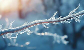 ai generato smerigliato rami su un' gelido inverno mattina. bellissimo inverno sfondo foto