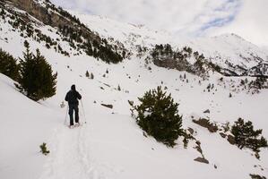 sciare, inverno, sciatori su sciare correre, montagna pirenei foto