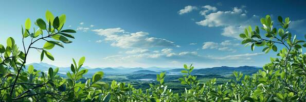 ai generato fresco verde le foglie con nuvoloso blu cielo Visualizza. generativo ai foto