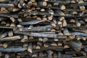 sfondo di albero ceppi, naturale legna sfondo foto