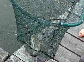 arnesi da pesca per canne da pesca, galleggianti, reti foto