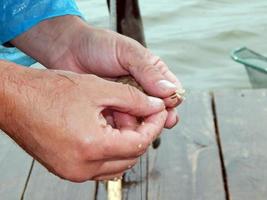 arnesi da pesca per canne da pesca, galleggianti, reti foto