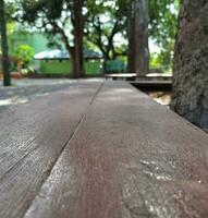 tavola di legno nel il foresta foto