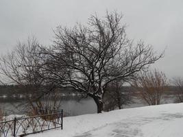 paesaggio invernale di biancaneve e gli oggetti del paesaggio foto