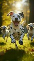 ai generato dalmata cani scherzare e giocare su verde erba nel il parco verticale mobile sfondo foto