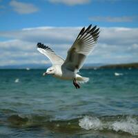 ai generato aereo balletto gabbiano scivola al di sopra di il espansivo e sereno mare per sociale media inviare dimensione foto