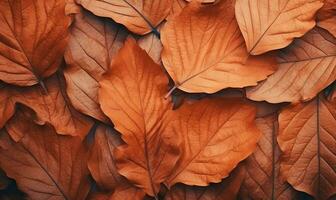 ai generato avvicinamento autunno asciutto foglia strutturato sfondo. ai generativo. foto