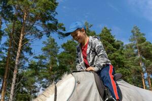 giovane, contento bambino equitazione un' bianca cavallo nel il panoramico campagna estate foto