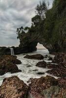 tranquillo spiaggia con isolato albero su roccioso scogliera prospiciente oceano foto