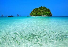 la bellezza del mare tropicale in thailandia. foto