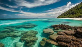 ai generato un' bellissimo spiaggia con chiaro acqua e rocce foto