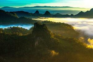 paesaggio di il foresta e nebbia su il montagne nel settentrionale Tailandia. foto