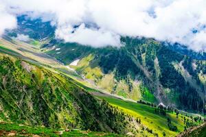 paesaggio nel il Himalaya panoramico Visualizza a partire dal il superiore di sonmarg, del Nepal kashmir valle nel il himalayano regione. praterie, fiori selvatici e montagna neve. escursioni a piedi concetto natura campeggio, India foto