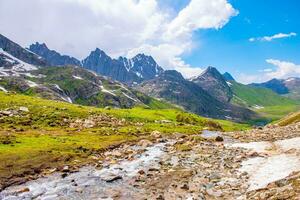 paesaggio nel il montagne. panoramico Visualizza a partire dal il superiore di sonmarg, kashmir valle nel il himalayano regione. prati, alpino alberi, fiori selvatici e neve su montagna nel India. concetto viaggio natura. foto