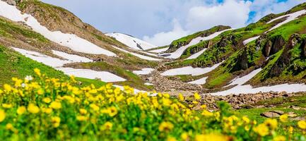 paesaggio nel il montagne. panoramico Visualizza a partire dal il superiore di sonmarg, kashmir valle nel il himalayano regione. prati, alpino alberi, fiori selvatici e neve su montagna nel India. concetto viaggio natura. foto